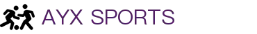 爱游戏(aiyouxi)中国官方网站|AYX SPORTS